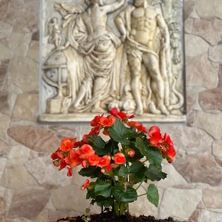 The Odyssey - Agios Ioannis, Pelion