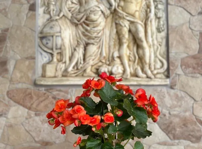 The Odyssey - Agios Ioannis, Pelion